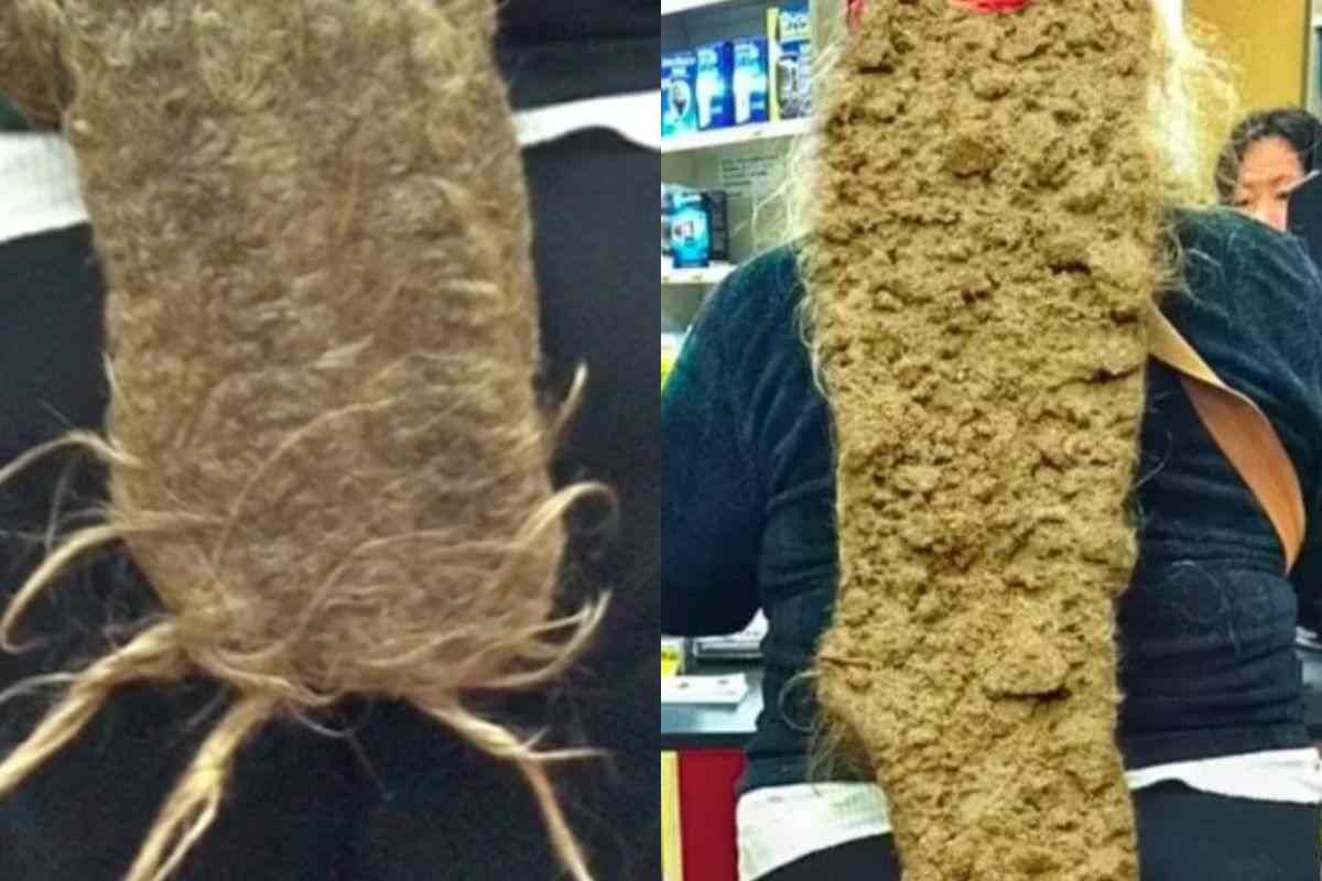 I capelli di Amanda, ormai cementati